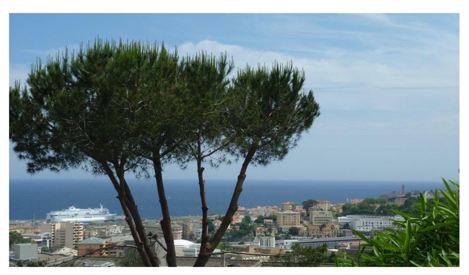 Appartement vue mer Bastia  Eksteriør bilde